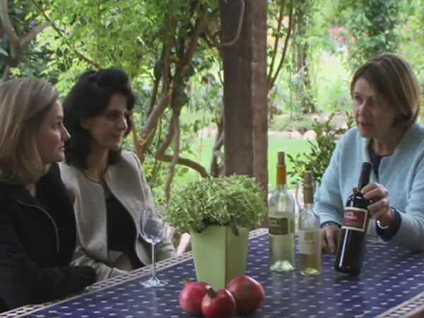 Guests enjoying a personal wine tasting with a small winery host
