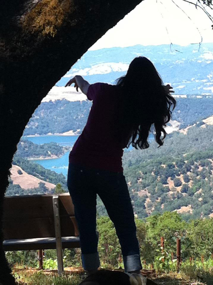 Guest looking out across a panoramic Sonoma wine-country landscape