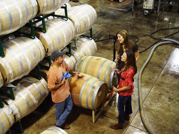 Guests learning about wine barrels inside a working cellar