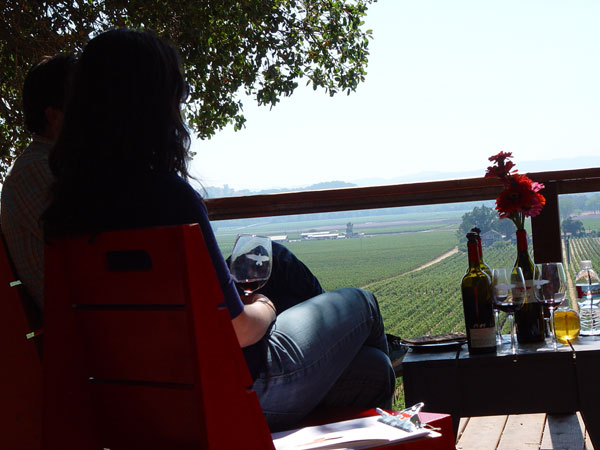 Guest relaxing with wine and a view across the vineyards